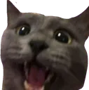 soog