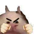 KekPunch