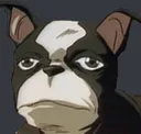 bruh_iggy