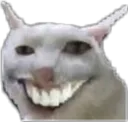 Catwhasgud