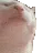 catjam