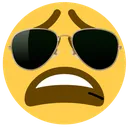 Sunglass_Weary