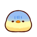 chick_fearful