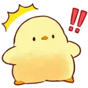 chick_surprised chick_surprised