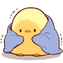 chick_coldblanket