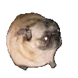 when_musac_vibin