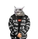 Catwhasgud_Drip