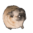 dogrolls