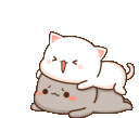 CuteKittyPair