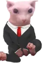 BingusSuit BingusSuit