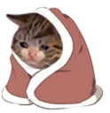 SnifflingCat Discord Emoji