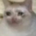 hurt