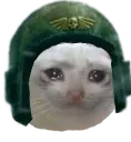 fionn