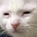 ST_wachuwan Discord emoji