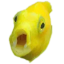 zikefishpog