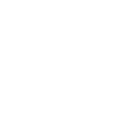 dice