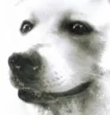 ConcernedHewie