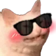 catSunglasses