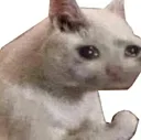 emoji_25