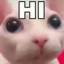 bingus_hi Discord Emoji