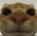 stare stare
