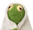 sc_blanketkermit