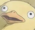 OotoriDerp