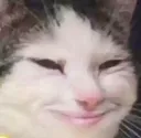 CatHehehe