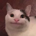 BRUH
