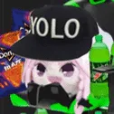 AES_gaymer