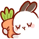aa_rabbhug Discord Emoji