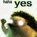 YES
