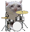cat_drummer Discord Emoji