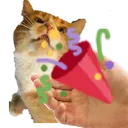 Mow_confetti_abhi