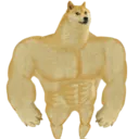 dogeswole Discord Emoji