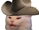 ConfusedCowboyCat
