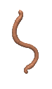WORM