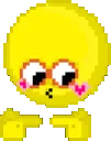 y_timidor