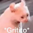 gritito