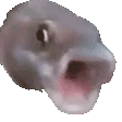 pogfish