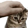 m_Pats m_Pats