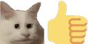 speebthumbsup