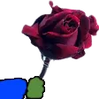 YLC_pepeflower Discord Emoji