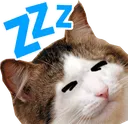 sleep