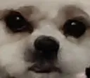 Bruh