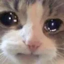 sadcathours