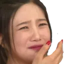 joykek