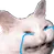 sadcat Discord Emoji