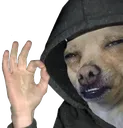 okaydog