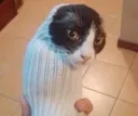 glumbus glumbus
